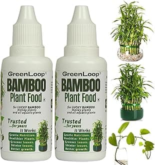 GreenLoop - Bamboo Plant Food (& for Money Plants) - Liquid Food for Aquatic Plants (in Water), Two Bottles, Each 30 ml.