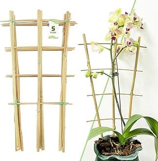 16Inch 5Pack Bamboo Trellis for Climbing Plants, Garden Ladder Trellis for Potted Plants Indoor, Fan Shaped Small Plant Support Trellis for HousePlants Ivy Vine Monstera 3-4