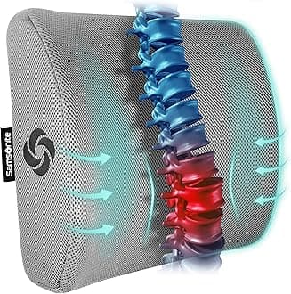 Samsonite SA5244 Ergonomic Lumbar Support Pillow Helps Relieve Lower Back Pain 100% Pure Memory Foam Improves Posture Fits Most Seats Breathable Mesh Washable Cover Adjustable Strap