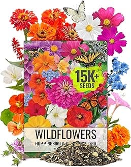 Seed Needs Flower Seeds Hummingbird and Butterfly Seed Mix 1 Ounce No Filler | 23 Varieties Garden Seeds Annual & Perennial Species | Pollinator Attracting Flowering Seed | Bulk Resealable Package