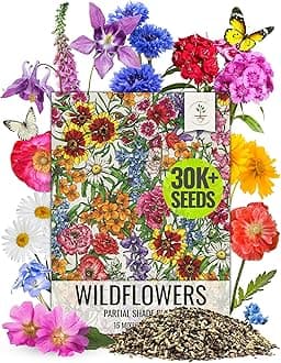 Seed Needs Partial Shade Wildflower Seed Mix for Planting | 2 Ounce 14+ Varieties Open Pollinated Annual & Perennial Species | Flower Seeds Shade Tolerant | Bulk
