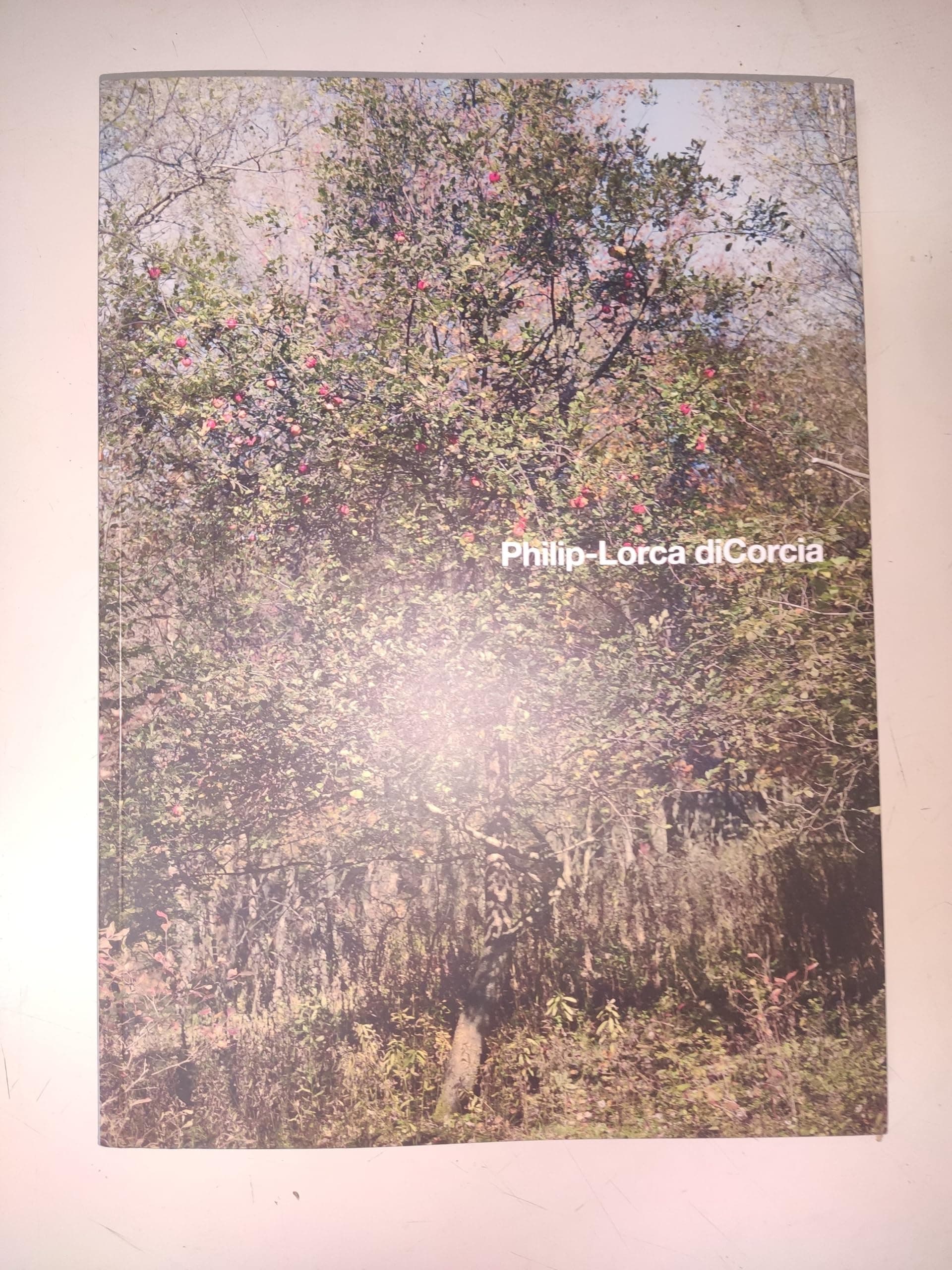 Philip-Lorca diCorcia Paperback – September 30, 2013