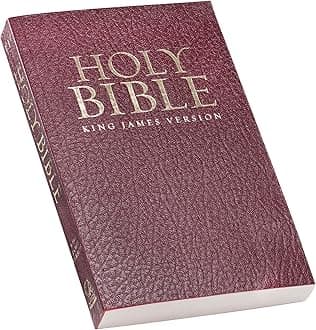 KJV Holy Bible, Gift and Award Bible - Softcover, King James Version, Burgundy (KJV Gift Award Editions)