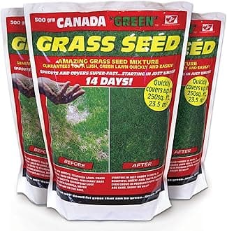 3607 Grass Seed