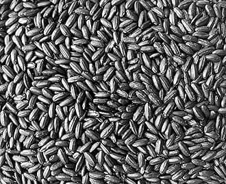 Emperor's Black Rice - Non-GMO, Whole Grain, Vegan - Rich in Protein and Fiber, All Natural (5 Pounds)