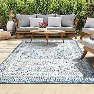 homeartOutdoor Rug - Easy-Clean, Durable, Stain-Resistant, Weather & UV Resistant Indoor & Outdoor Rugs for Porch, Deck, Balcony, Garden, Picnic and Patio | Vintage Blue, Cream - 120x170cmOEKO-TEX STANDARD 100