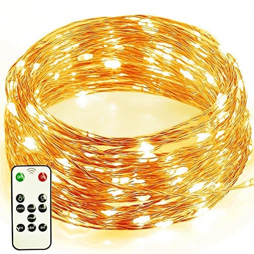 Dimmable Led String Lights with Remote Timer,Flasso Plug in 100 Leds Copper Wire Starry Lights for Wedding,Christmas,Halloween,Party,Bedrooms Decorations(Warm White,33ft)