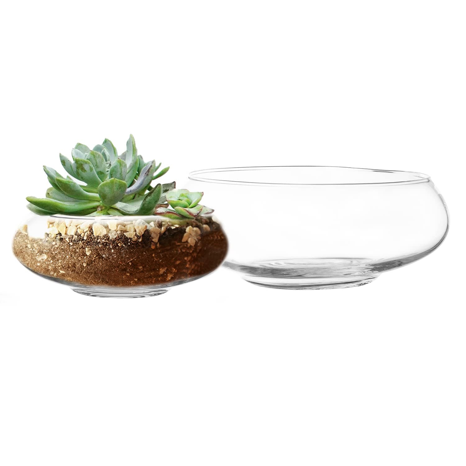 Glass Flat Bowl Set