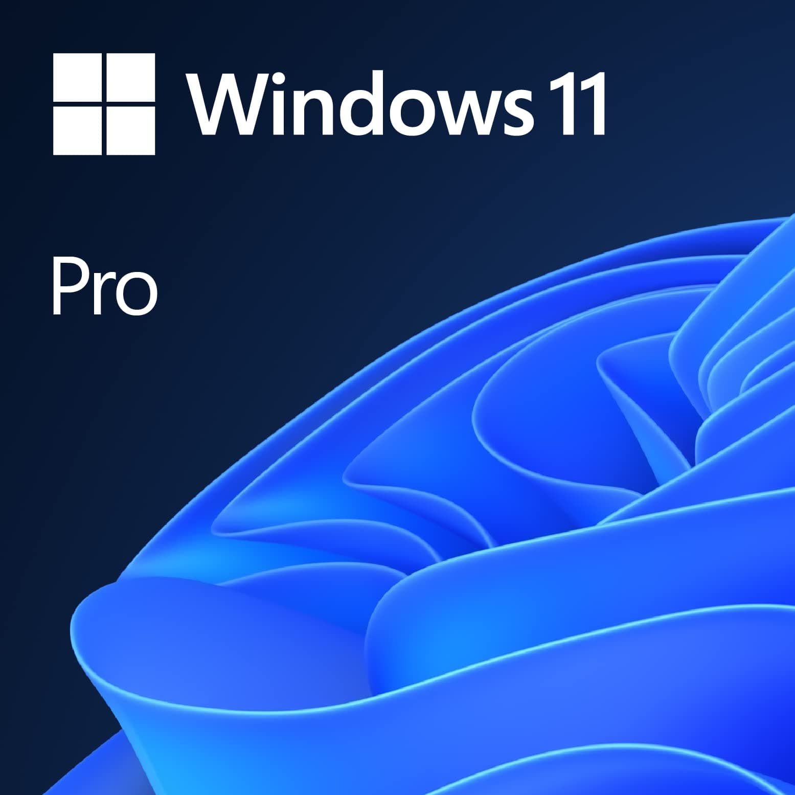 Microsoft Windows 11 Professional OEM DVD 64 bit | English | 1 PC | Original Activation Key | Lifetime License